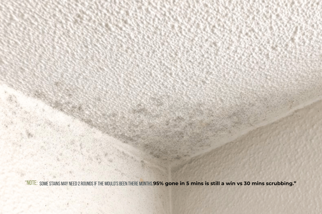 Clean white bathroom ceiling after 5 minute mould removal method for UK homes